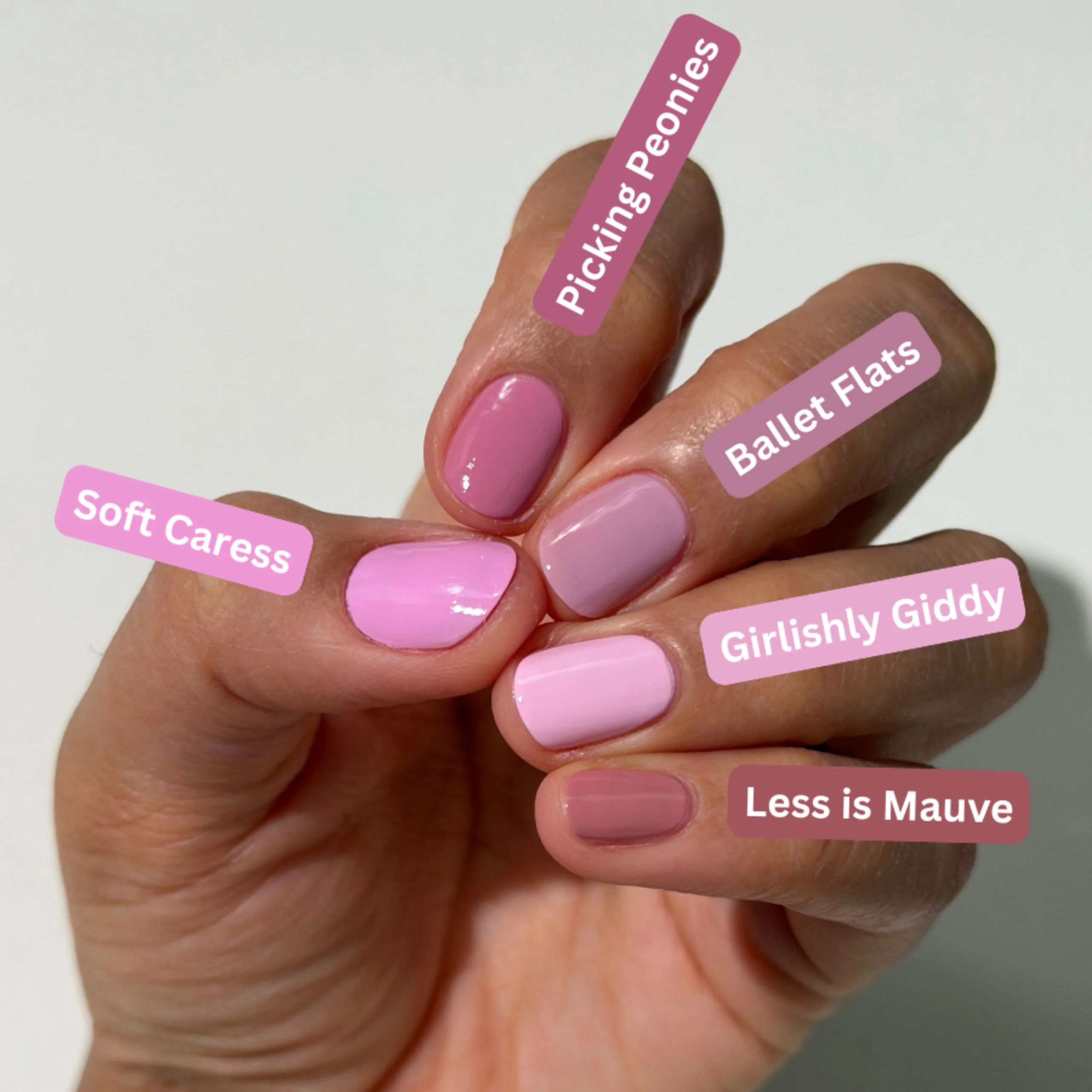 Less is Mauve - Image 6