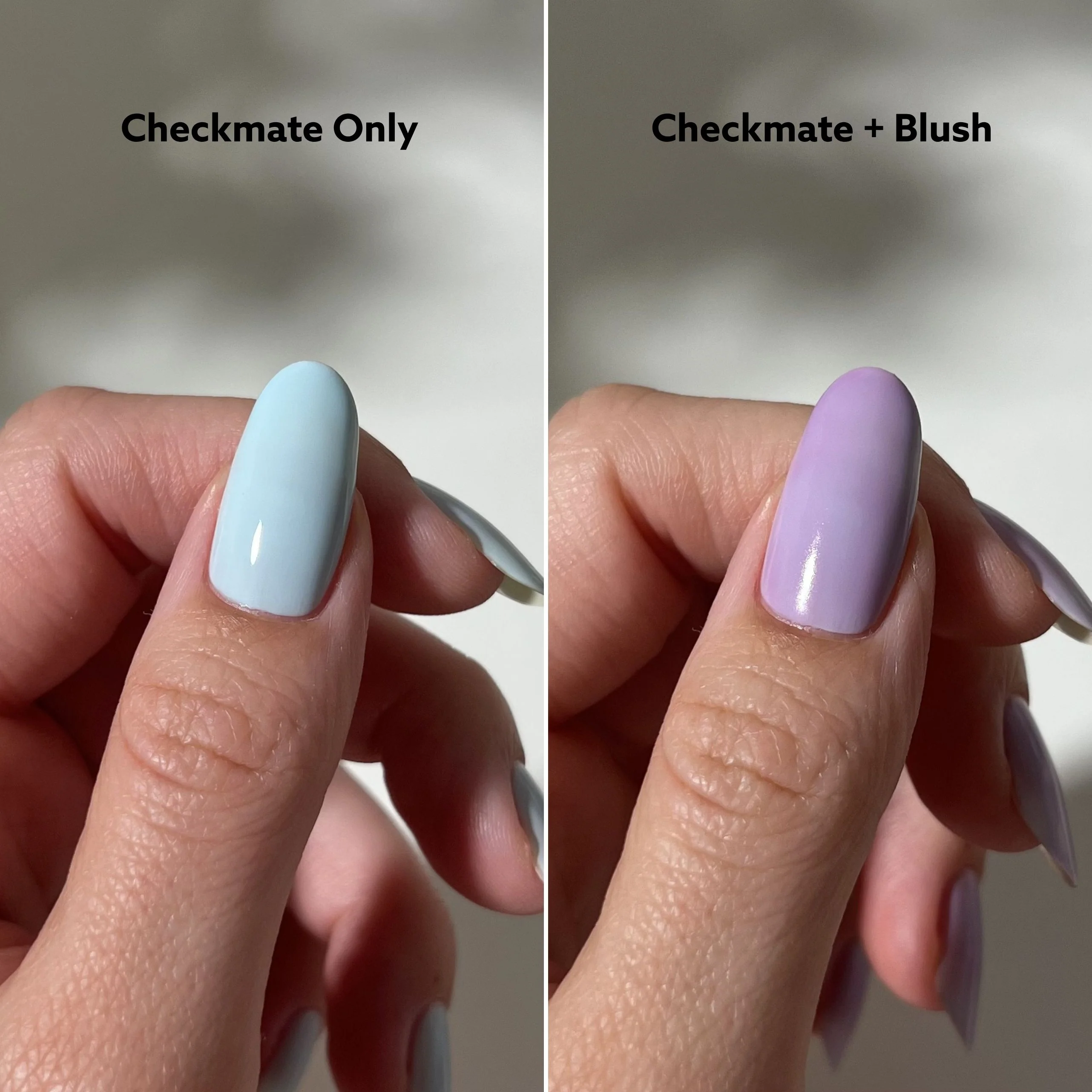 Blush - Image 5