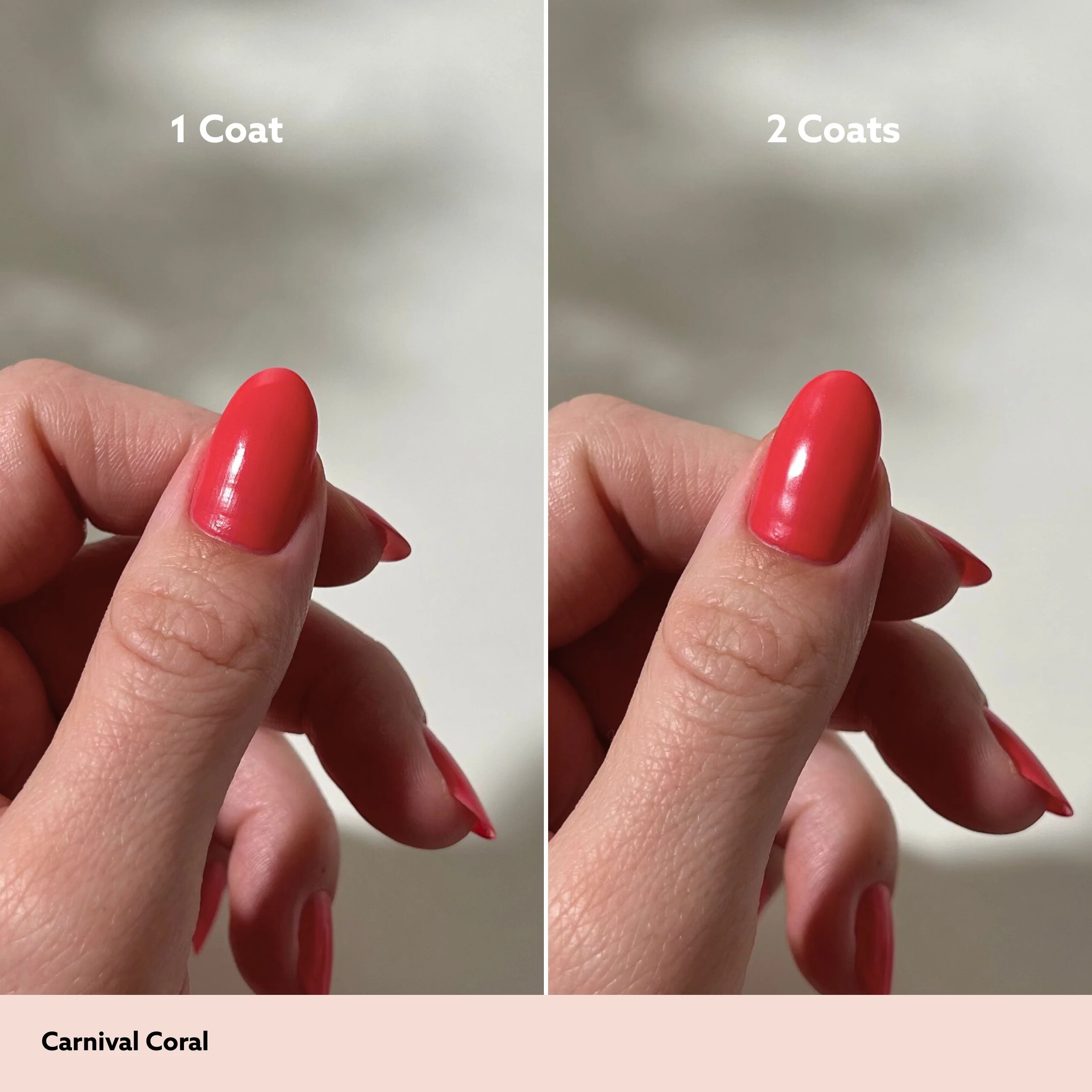 Carnival Coral Mini Kit - Image 4