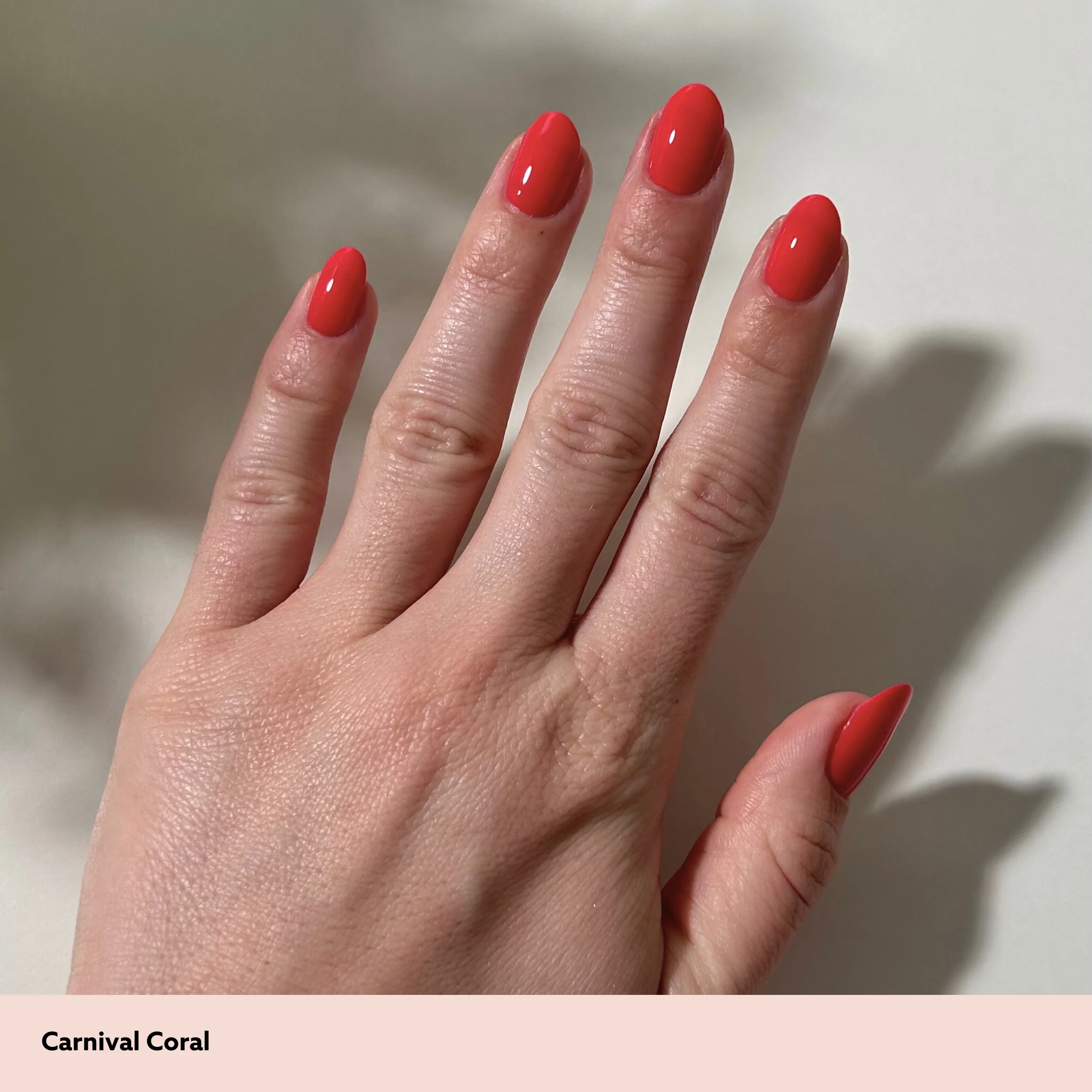 Carnival Coral Mini Kit - Image 3