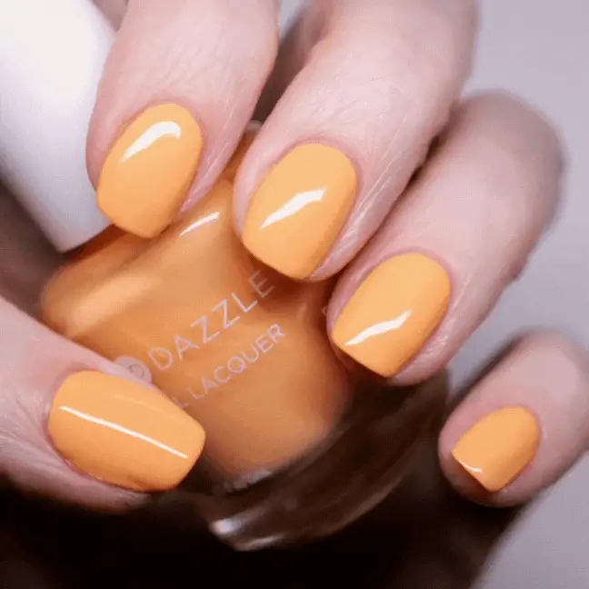Creamsicle Sorbet - Image 5