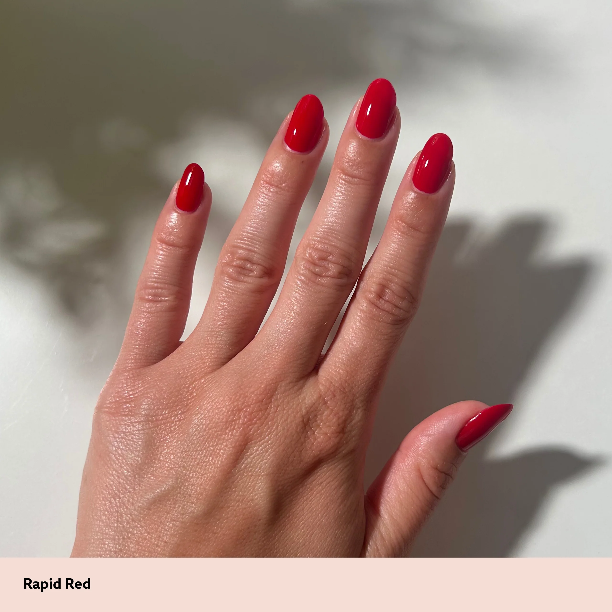 Rapid Red Mini Kit - Image 6