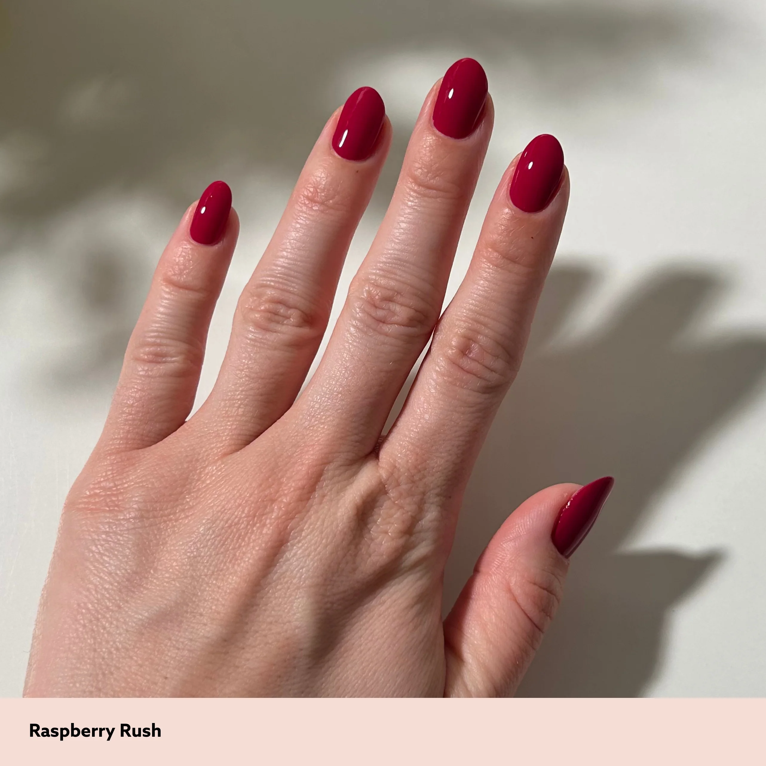 Raspberry Rush Mini Kit - Image 5