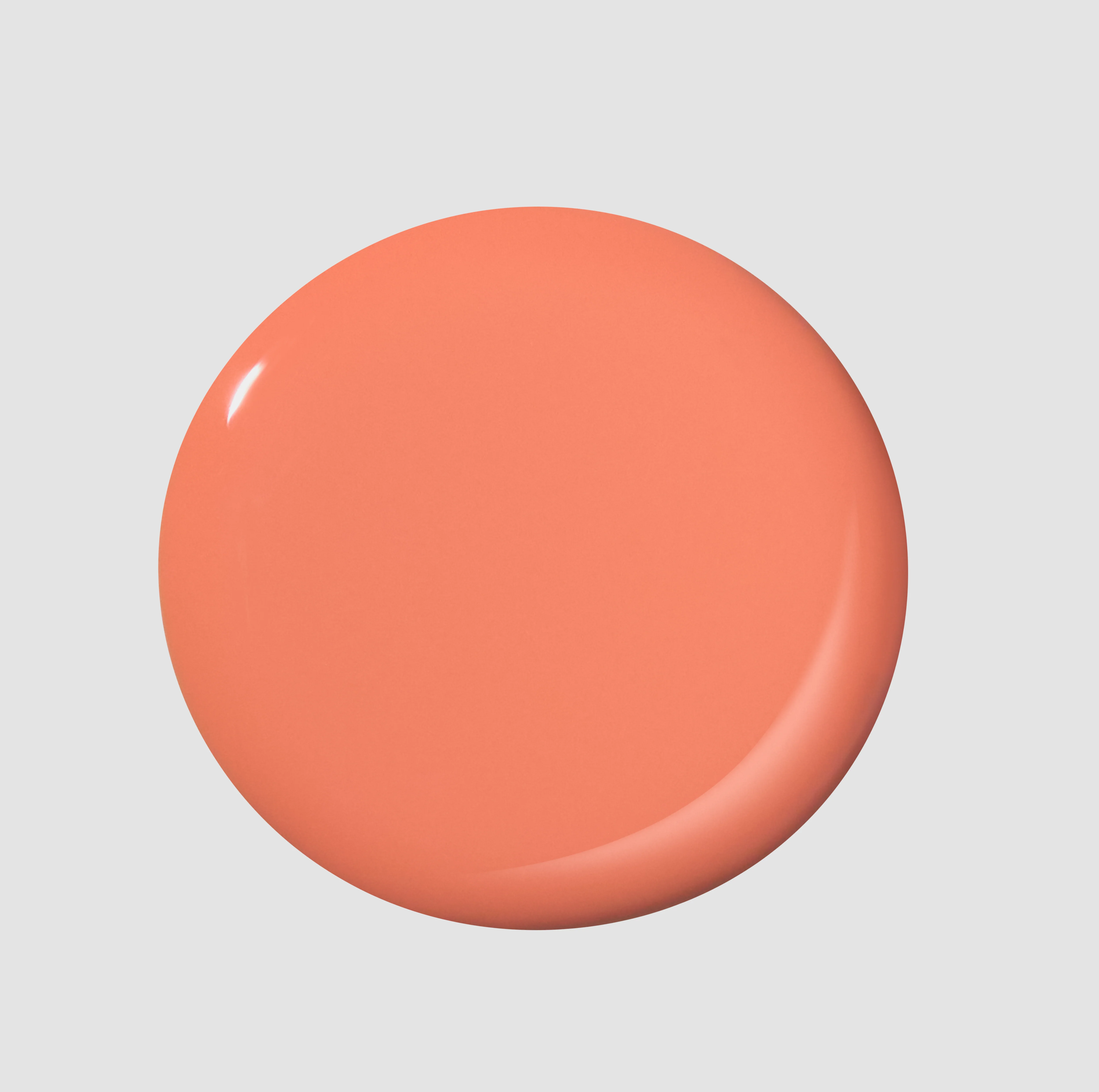 Round Trip - Image 3