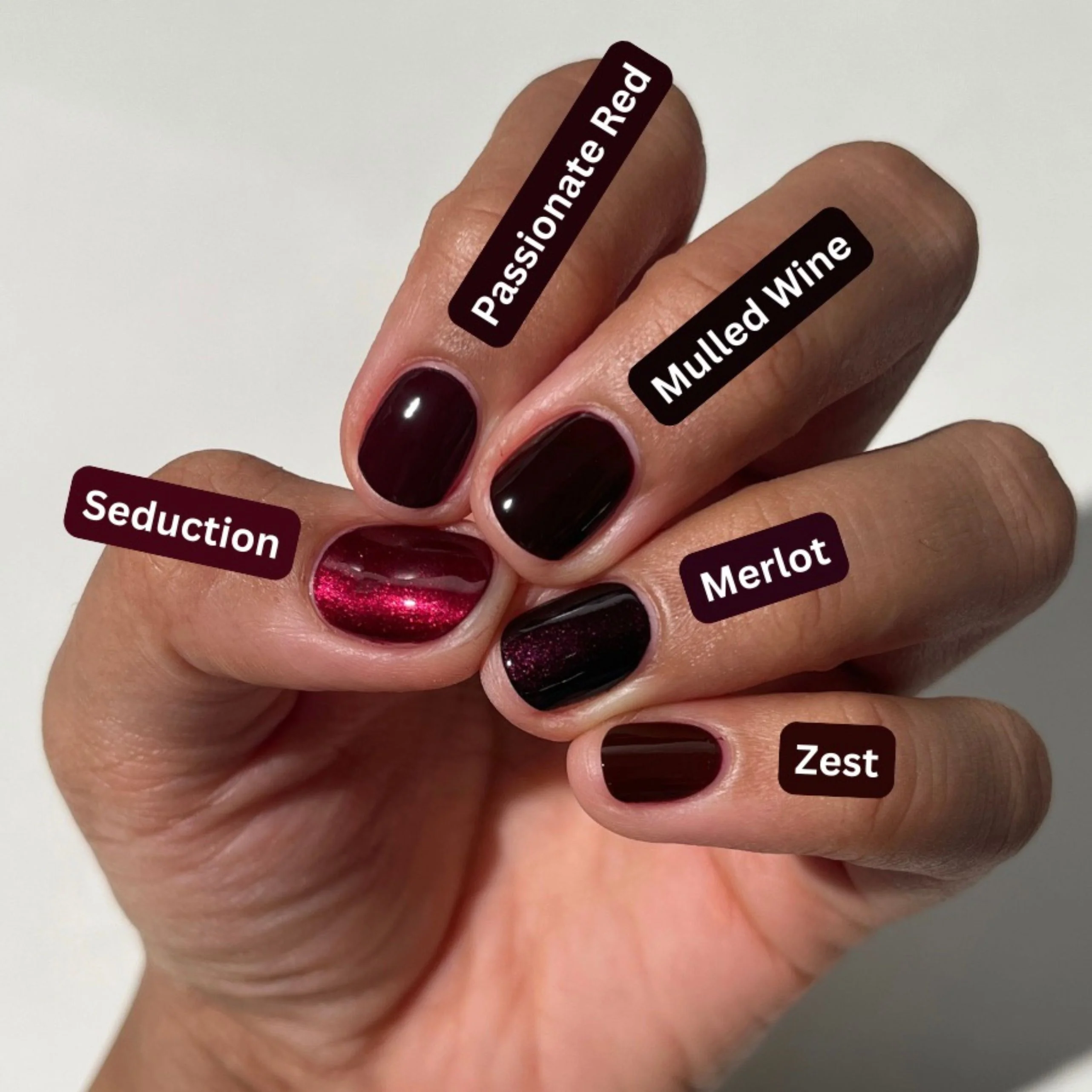 Zest - Image 4