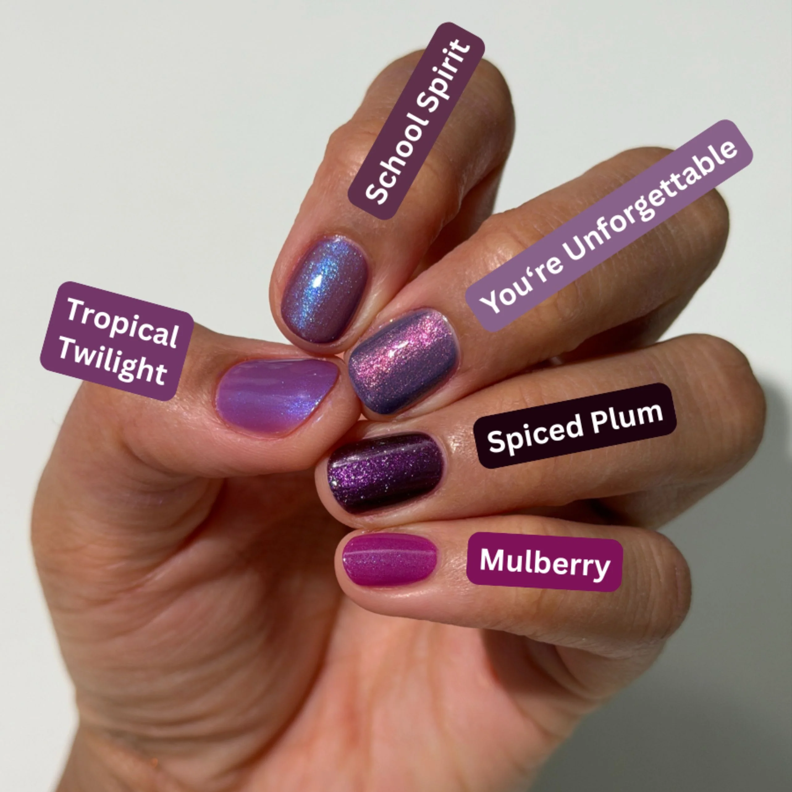 Tropical Twilight - Image 8